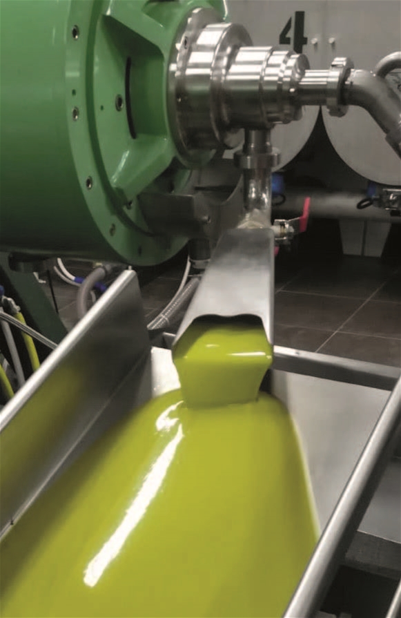 Pegaso Genesis 1000 Olive Oil Mill Continuous Olive Oil Plant